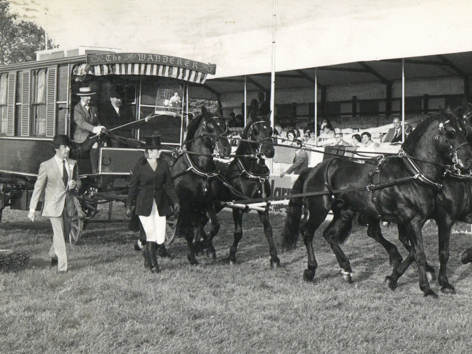 The Wanderer at the Royal Windsor Horse Show in 1982