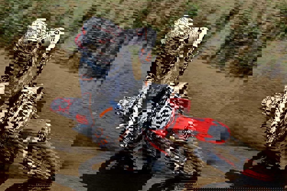 Stefy Bau Racing Pride