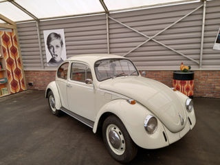 VW Beetle