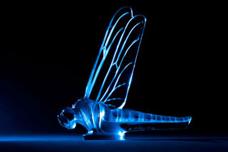 Lalique Libellule