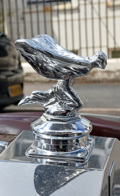 Spirit Of Ecstasy Web