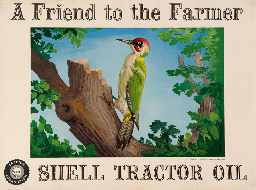 Shell poster number 1521, Green Woodpecker (1952) by Harold Hussey. Painting of green woodpecker on a tree bark with the text: "A Friend to the Farmer, Shell Tractor Oil".