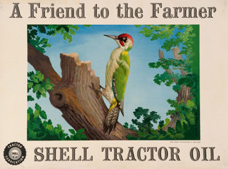 Shell poster number 1521, Green Woodpecker (1952) by Harold Hussey. Painting of green woodpecker on a tree bark with the text: "A Friend to the Farmer, Shell Tractor Oil".