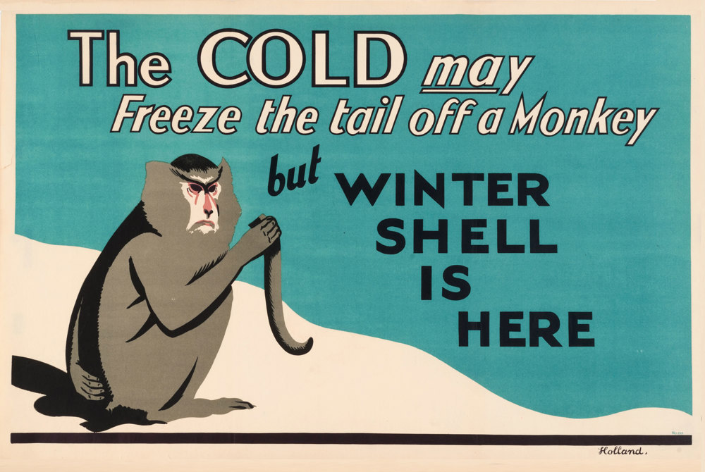 Shell poster number 239, Tail off a monkey by James Holland. Cartoon of a monkey holding his detached tail. Caption reads; "The cold may freeze the tail off a monkey but winter Shell is here".