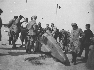 Sunbeam 350 At Fano Denmark 1924 B