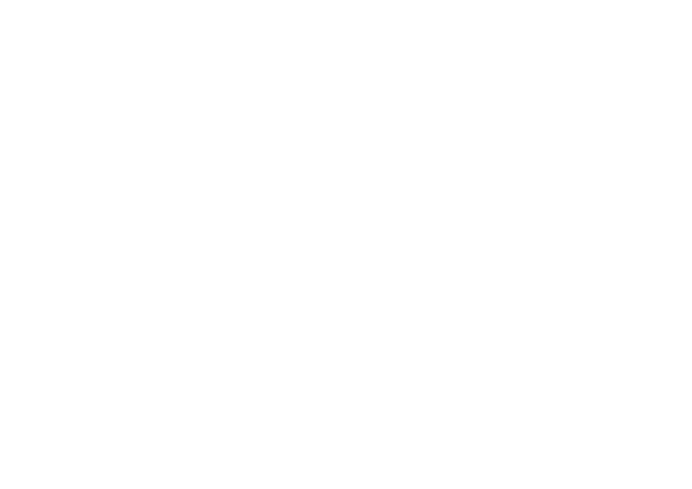 The Wolfson Foundation